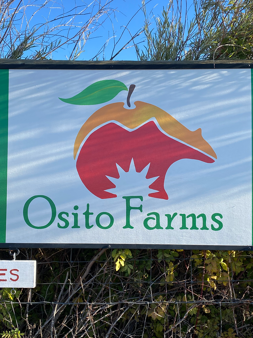 Hand-painted Farm Sign