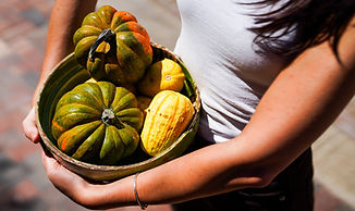 Pullman Pumpkins
