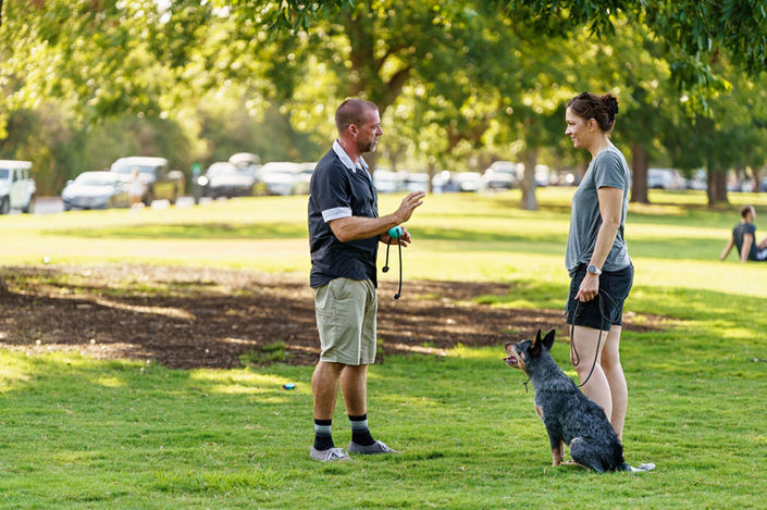 Donovan Miller Fidelio Dog Works Dog Obedience Training Austin TX