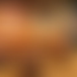 Client Spotlight: Carnegie Diner Times Square - Stylish New Look with Home Tile Center of NY