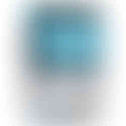 Bag of Laticrete - 254 Platinum Plus Tile Adhesive Mortar (25lbs)