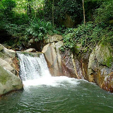 Minca-4.jpg