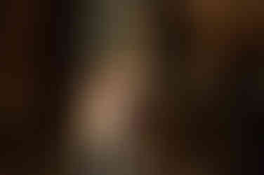 horse dog jasper niav lorenzo photography charlotte north carolina farm