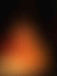 IMG_8486.JPG