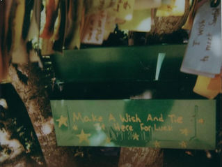 a green box in a tree that says make a wish