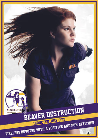 Beaver-Destruction.jpeg