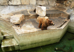 TUNIS ZOO