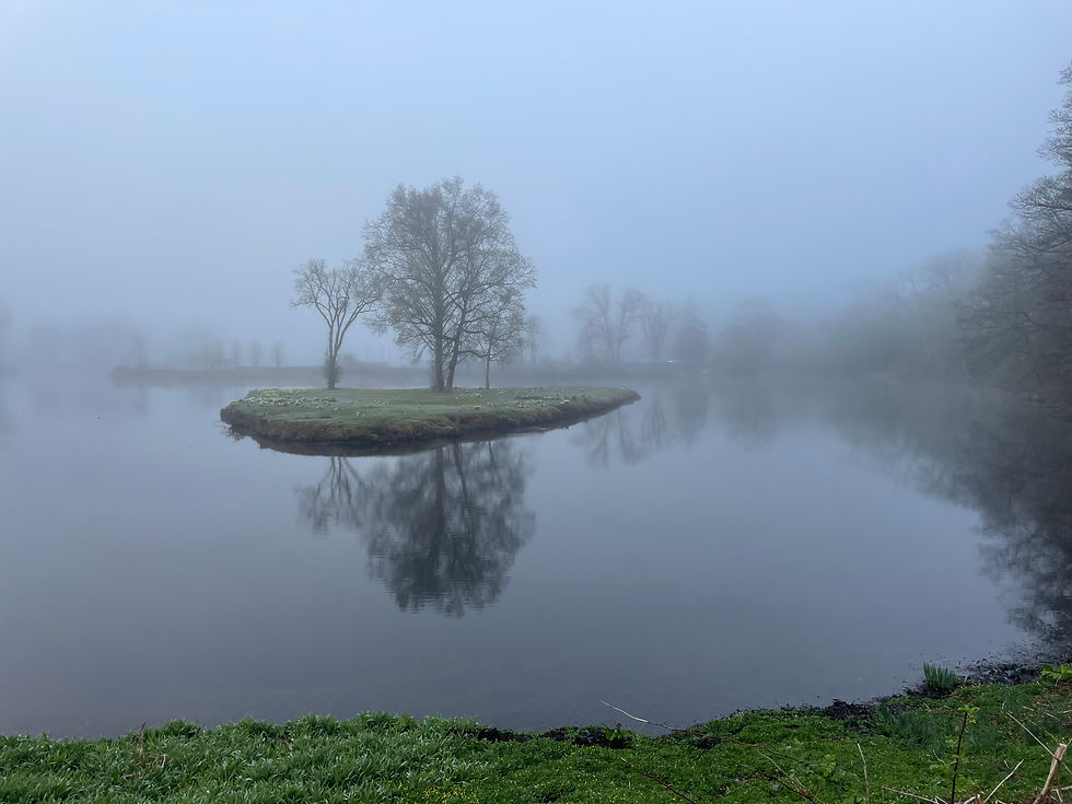 Siblings in Creation Justice: An Earth Day Meditation