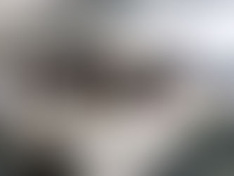 Centros de Atención Animal deberán emitir cedula de búsqueda de mascotas desaparecidas: 76 Legislatura