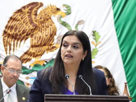 Teresita Herrera presenta iniciativa de reforma para reconocer la lactancia prolongada como una política de salud pública