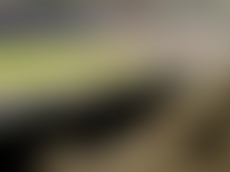 El reglamento que tendrán que cumplir los dueños de palcos del estadio Banorte para el Mundial de 2026