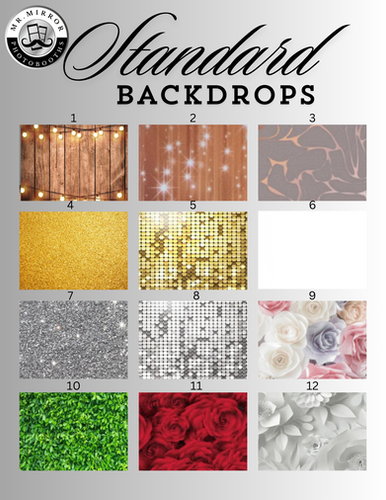 Standard Backdrop Example Choose from a standard backdrop | Mr. Mirror
