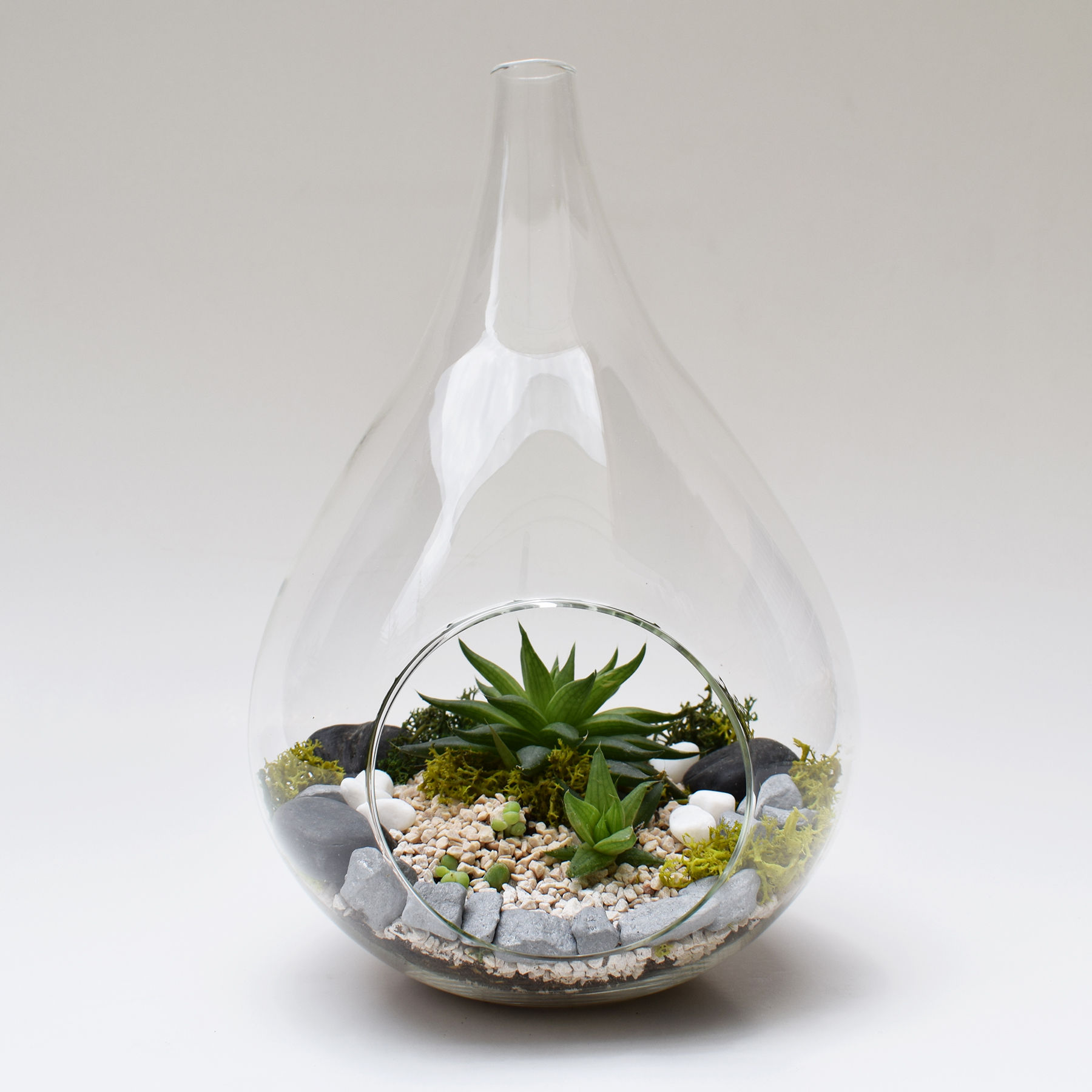 Micro jardín vidrio [estilo 01]