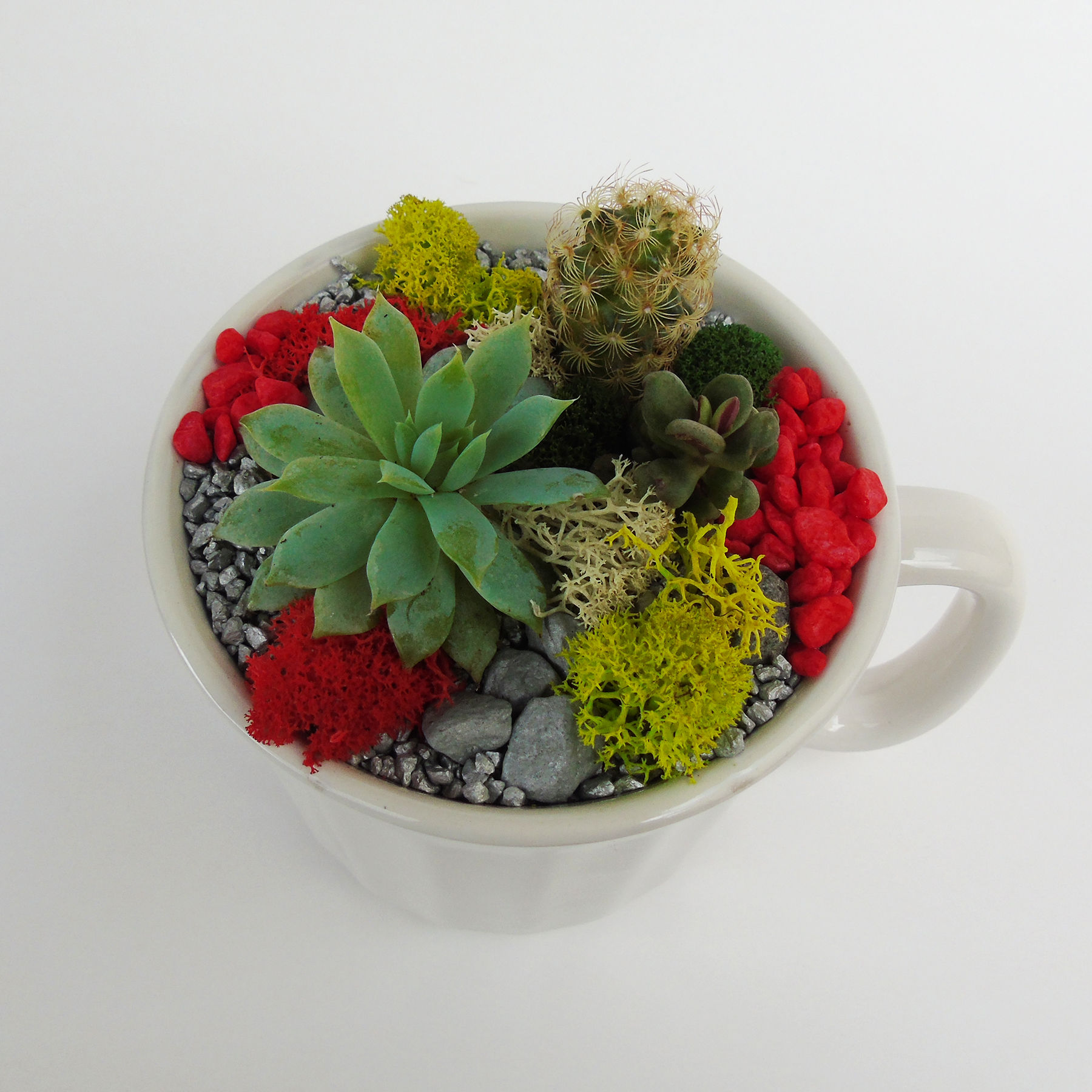 Micro jardín jarra cerámica [estilo 01]