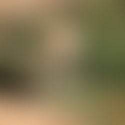 Ein Prat - FREE tour by 'Israel is Beautiful'