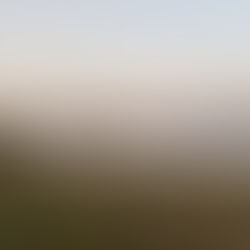 Ever Experienced 30,000 Cranes Flying Overhead?