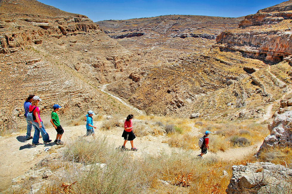 Sukkot 2025 in Gush Etzion