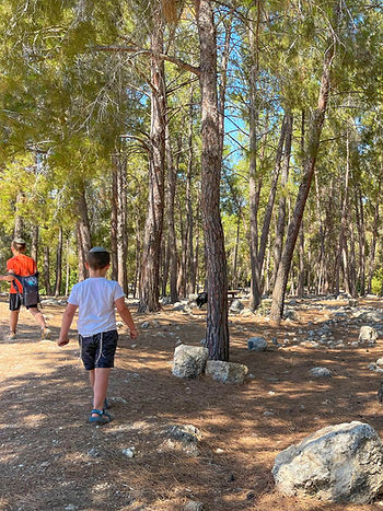 Hiking the Holyland