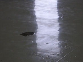 Hydrostatic vs. Osmotic Pressure: How They Affect Concrete Coatings