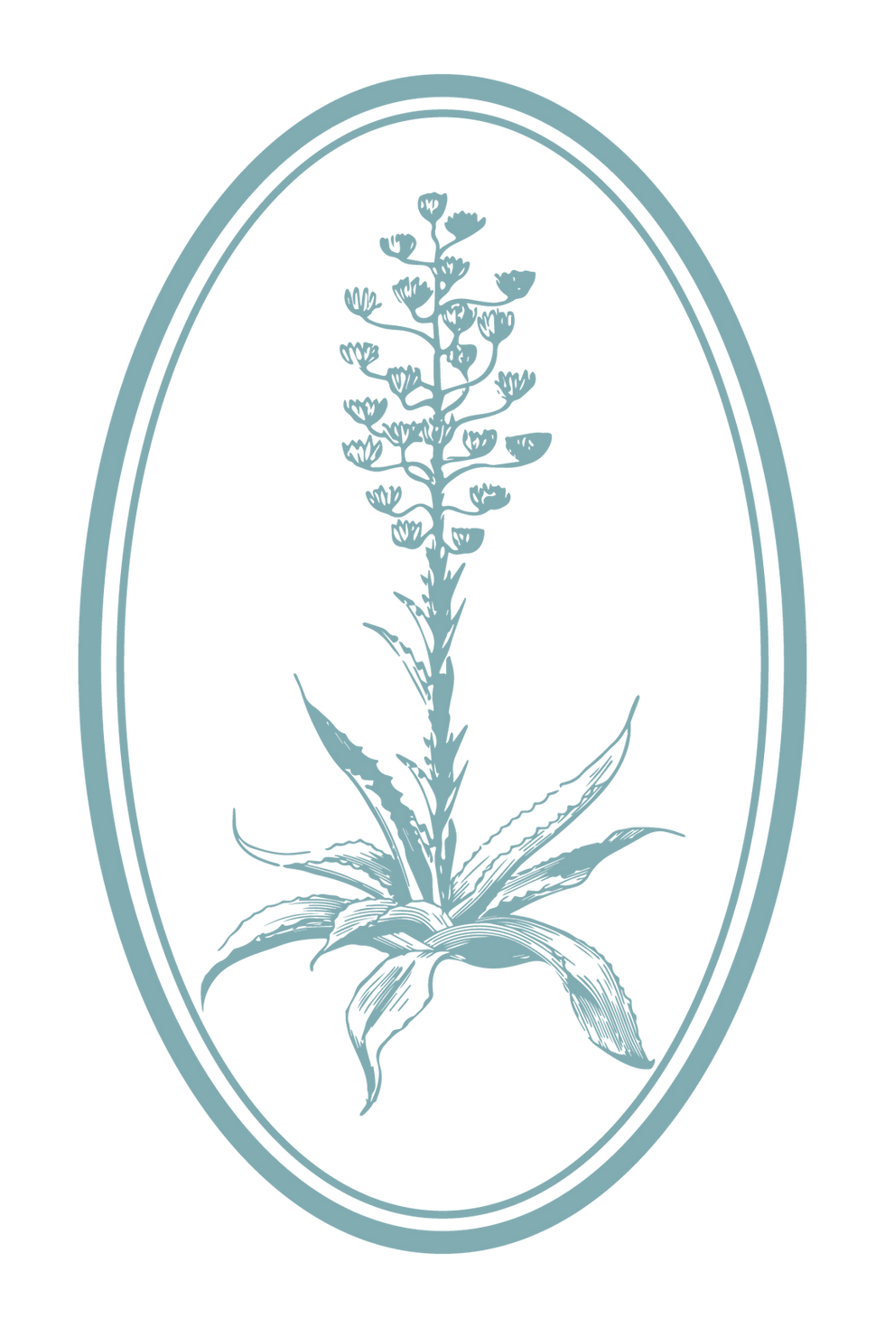 Cameo_Flower_Blue.png