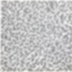 Fugue4