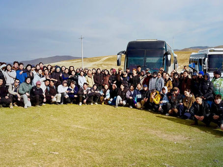 Манай оюутнууд 1200 мод шилжүүлэн суулгалаа