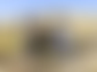 Инчон мөрөөдлийн төгөлд 2000 мод тарьлаа