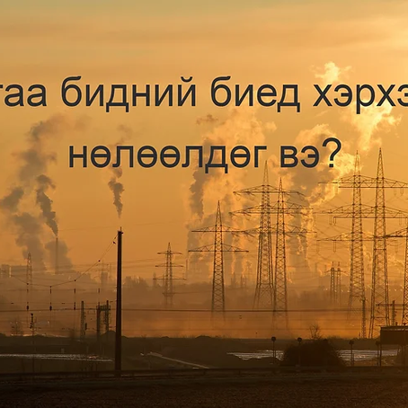 Утаа бидний биед хэрхэн нөлөөлдөг вэ?