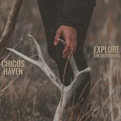 Top 5 Tips for a SUCCESFUL Shed Hunt!