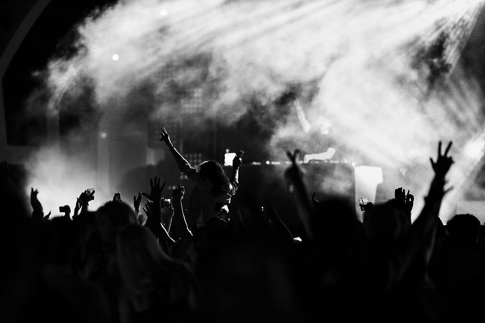 Fans at a concert Concert © Aleksander Pasaric for Pexels
