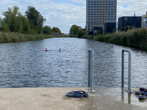 Groningen Outdoor Swimmers Embrace the Cold Together