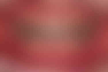 동래구치아교정