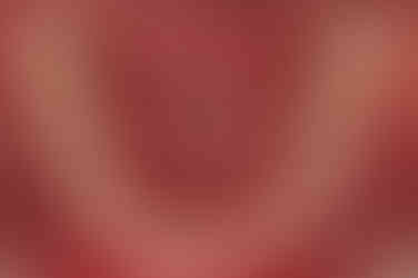 부산어린이교정