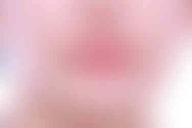 부산교정
