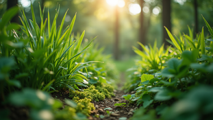 The Importance of Sustainable Living in Today's World