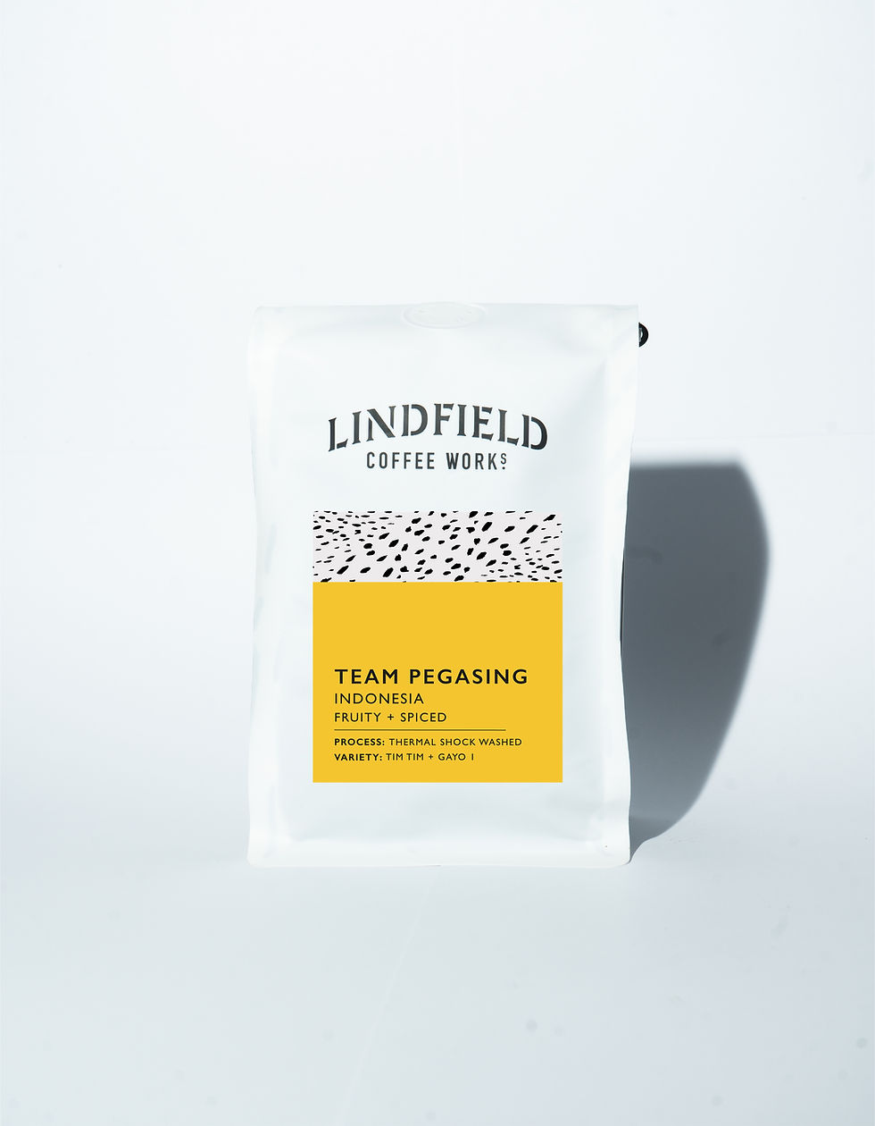 Indonesia: Team Pegasing