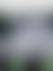 SOLO Golf Brand Identity & Expression