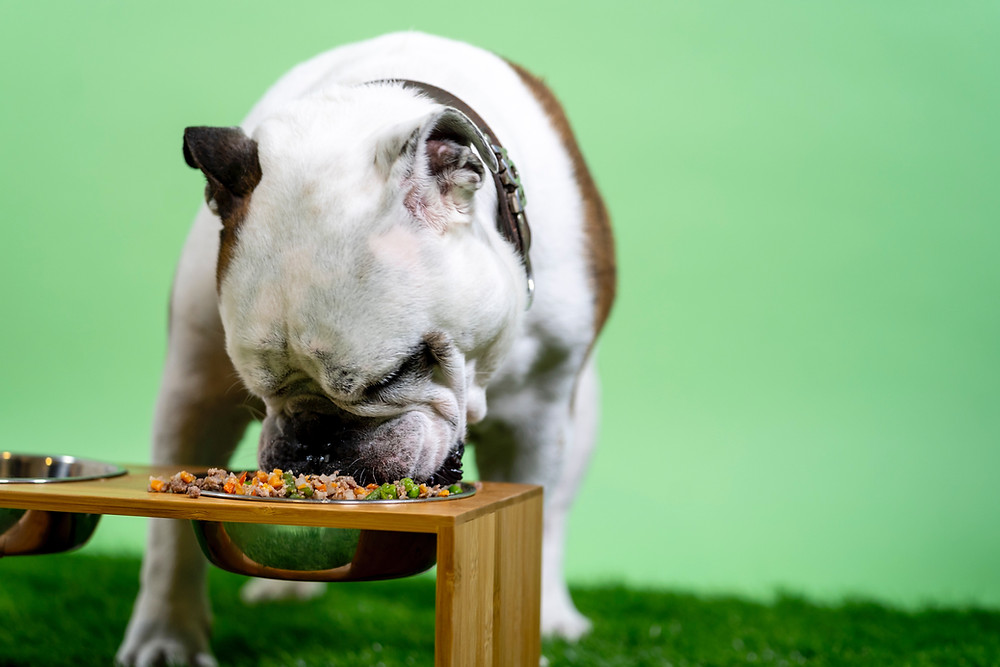 The Proper Raw Canine Diet