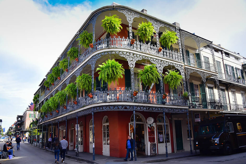 dog friendly bar bourbon street
