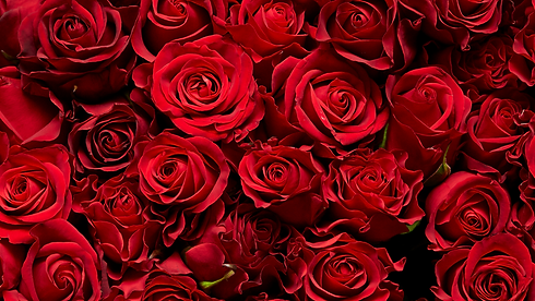 Grey Floral Saying Computer Wallpaper.png