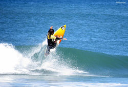 - costa sul baords -surfer david martins