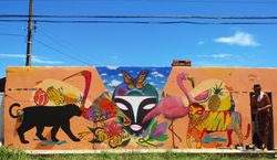 rimon guimagaes e ze palito - artista urbano florianopolis