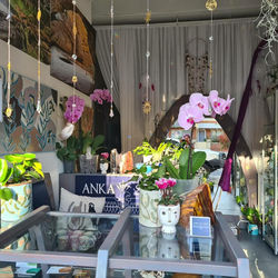 242868866_226832616085846_7693413478400564057_n