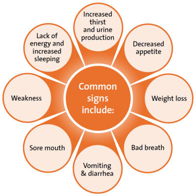 Health Issues?