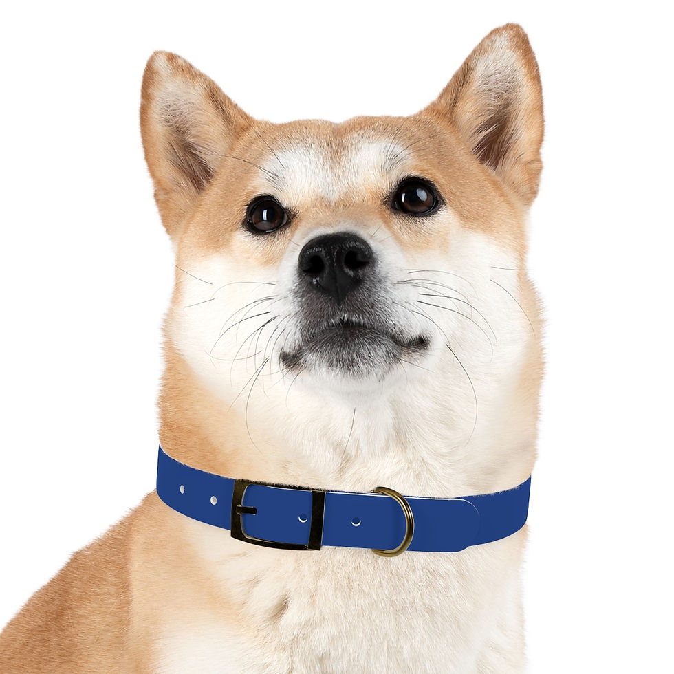 Thumbnail: COLLAR 4 SIZES Paws Paranormal BLUE