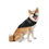 Thumbnail: BLACK K9 -Paws Pet Identifier Scarf
