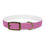 Thumbnail: COLLAR 4 SIZES Paws Paranormal PINK 