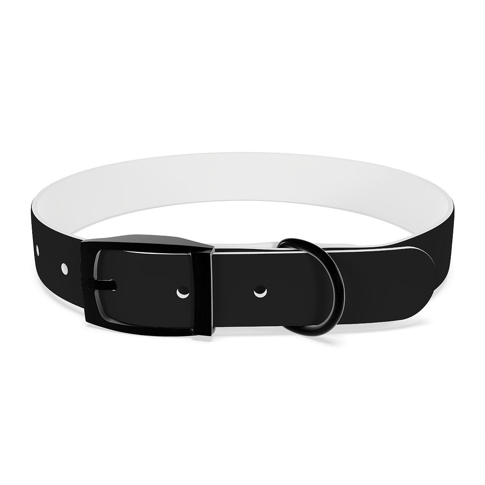 Thumbnail: PAWS Dog Collar BLK