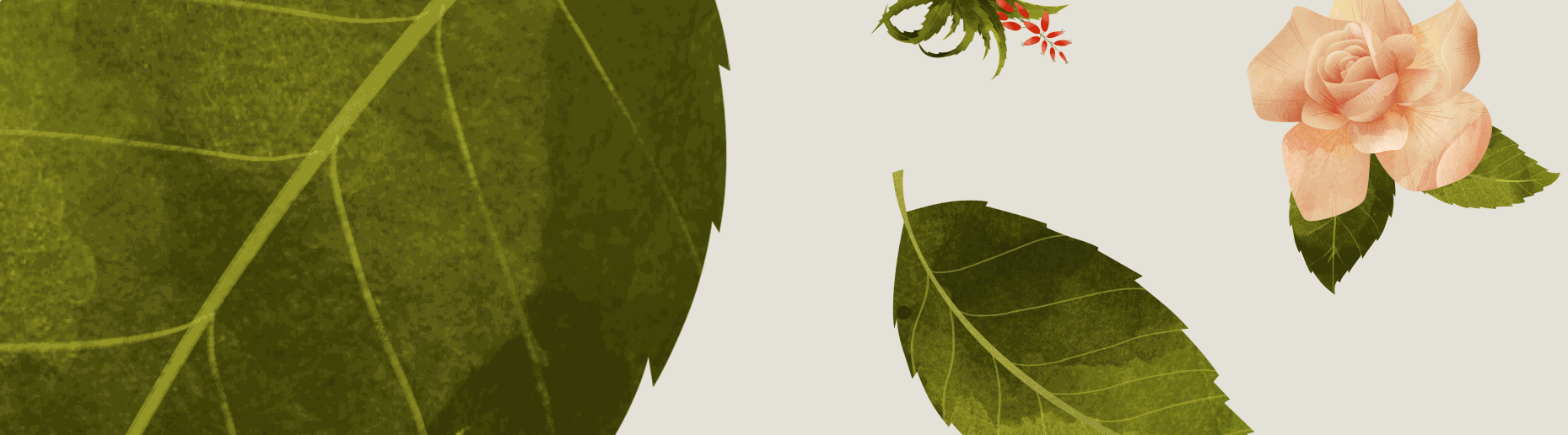 Huana.gif