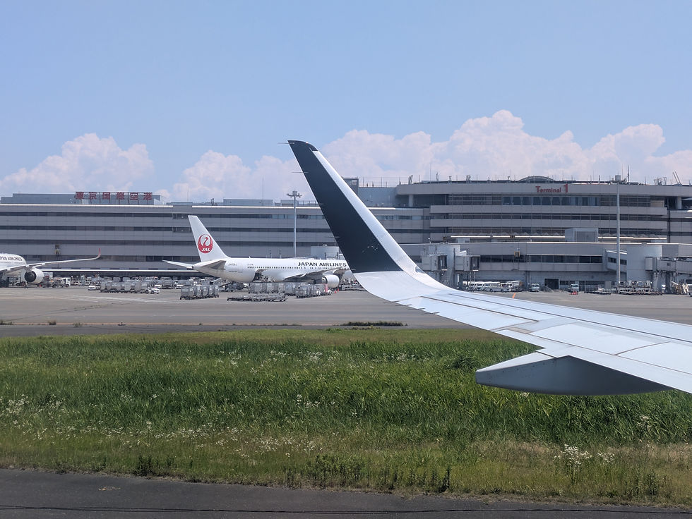空港特急はインバウンド客を運ぶ